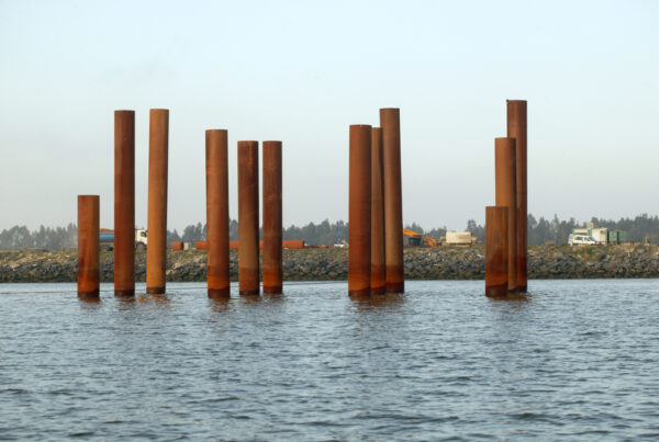 pipe and piling supply